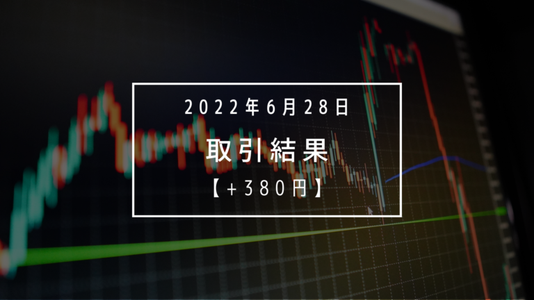 +380円【2022年6月28日（水）】取引結果